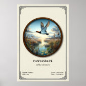 Canvasback Zoologie Serie Poster (Voorkant)