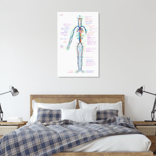 Canvasdiagram menselijke bloedsomloopslagaders canvas afdruk (Insitu (Slaapkamer))