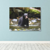 Canvasmuur Art-Yellowstone Zwart Beren welpje Canvas Afdruk (Insitu (Houten vloer))