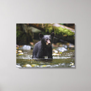 Canvasmuur Art-Yellowstone Zwart Beren welpje Canvas Afdruk
