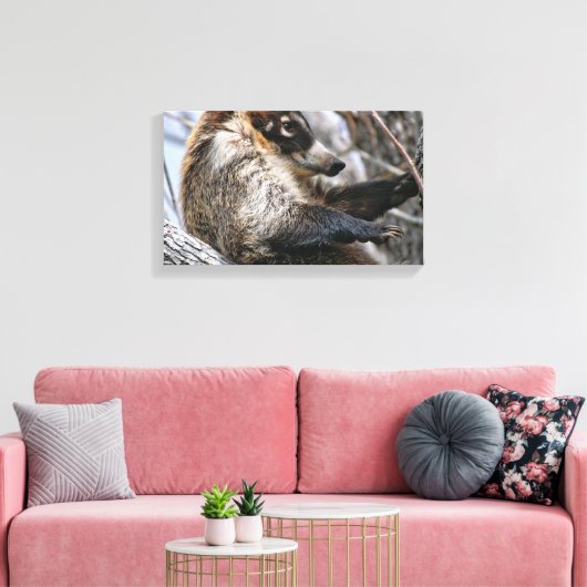 Canvasomslag: Coatimundi #3 Canvas Afdruk (Insitu (Woonkamer))