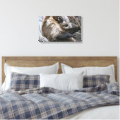 Canvasomslag: Coatimundi #3 Canvas Afdruk (Insitu (Slaapkamer))