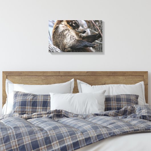 Canvasomslag: Coatimundi #3 Canvas Afdruk (Insitu (Slaapkamer))