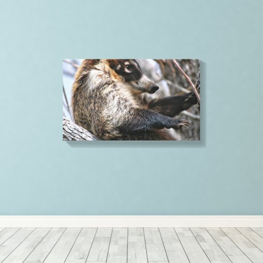 Canvasomslag: Coatimundi #3 Canvas Afdruk (Insitu (Houten vloer))