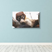 Canvasomslag: Coatimundi #4 Canvas Afdruk (Insitu (Houten vloer))