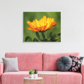 Canvasprint - Calendula bloem Canvas Afdruk (Insitu (Woonkamer))