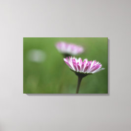 Canvasprint Daisyelegantie Canvas Afdruk