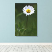 Canvasprint - De Eenzame Madelief Canvas Afdruk (Insitu (Houten vloer))