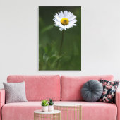 Canvasprint - De Eenzame Madelief Canvas Afdruk (Insitu (Woonkamer))