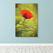 Canvasprint - Enkele bloeiende klaproos Canvas Afdruk (Insitu (Houten vloer))