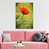 Canvasprint - Enkele bloeiende klaproos Canvas Afdruk (Insitu (Woonkamer))
