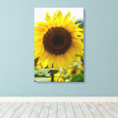 Canvasprint - Geïsoleerde zonnebloem Canvas Afdruk (Insitu (Houten vloer))