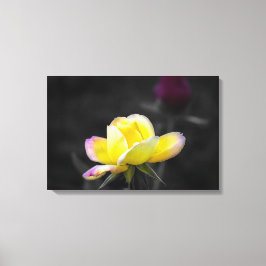 Canvasprint gele roos fotografie canvas afdruk