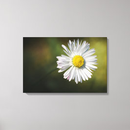 Canvasprint - Madeliefje Canvas Afdruk