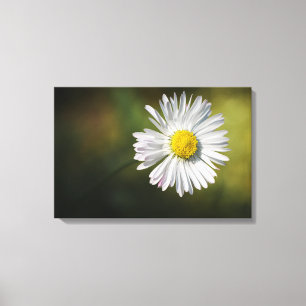 Canvasprint - Madeliefje Canvas Afdruk