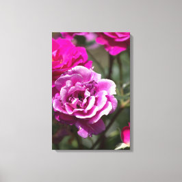 Canvasprint mooie rozen fotografie canvas afdruk