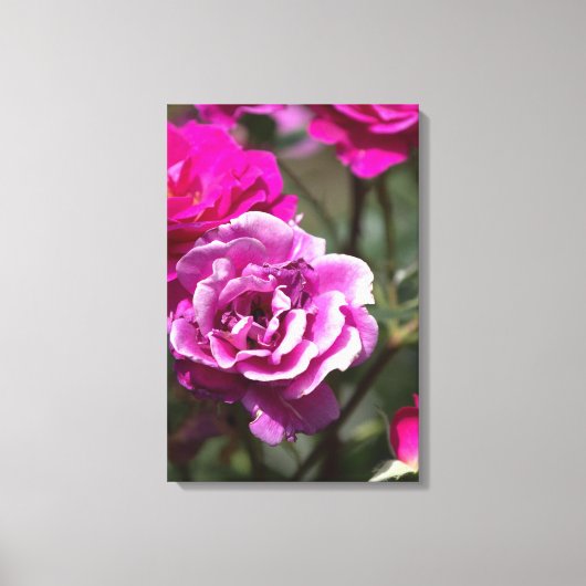 Canvasprint mooie rozen fotografie canvas afdruk (Voorkant)