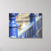 Canvasprint - Mus op hek Canvas Afdruk (Voorkant)