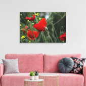 Canvasprint Papavers in de natuur Canvas Afdruk (Insitu (Woonkamer))