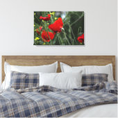Canvasprint Papavers in de natuur Canvas Afdruk (Insitu (Slaapkamer))