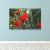 Canvasprint Papavers in de natuur Canvas Afdruk (Insitu (Houten vloer))