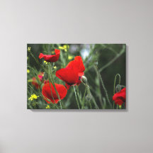 Canvasprint Papavers in de natuur