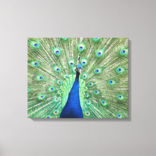 Canvasprint - Pauw met uitgespreide staart Canvas Afdruk