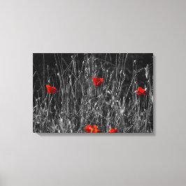 Canvasprint - Rode Eenzame Klaprozen Canvas Afdruk