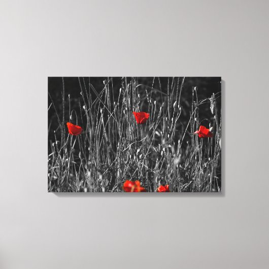 Canvasprint - Rode Eenzame Klaprozen Canvas Afdruk (Voorkant)