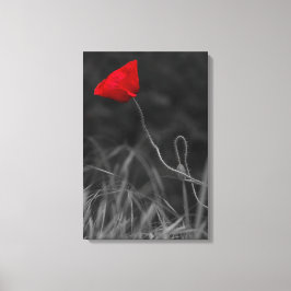 Canvasprint Rode Klaproos Bloem Canvas Afdruk