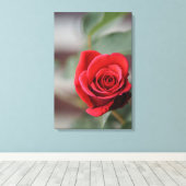 Canvasprint Rode Roos Elegantie Fotografie Canvas Afdruk (Insitu (Houten vloer))