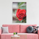 Canvasprint Rode Roos Elegantie Fotografie Canvas Afdruk (Insitu (Woonkamer))