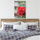 Canvasprint Rode Roos Elegantie Fotografie Canvas Afdruk (Insitu (Slaapkamer))