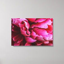 Canvasprint Roze Pioenblaadjes Canvas Afdruk