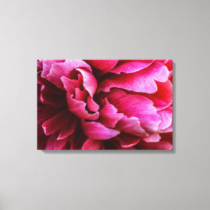 Canvasprint Roze Pioenblaadjes Canvas Afdruk