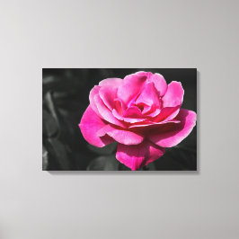 Canvasprint roze roos elegant canvas afdruk