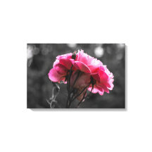 Canvasprint - Roze Roos Elegantie