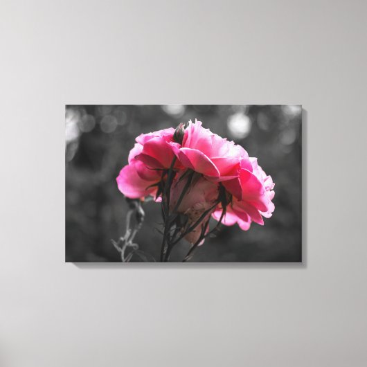 Canvasprint - Roze Roos Elegantie Canvas Afdruk (Voorkant)