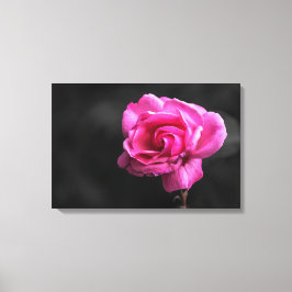 Canvasprint roze roos fotografie canvas afdruk
