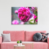 Canvasprint Roze Roos Fotografie Canvas Afdruk (Insitu (Woonkamer))