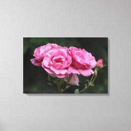 Canvasprint Roze Rozen Fotografie Canvas Afdruk