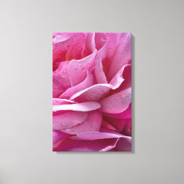 Canvasprint Roze Rozenblaadjes En Dauwdruppels Canvas Afdruk