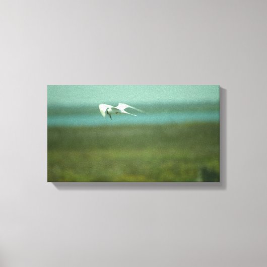 Canvasprint - Stern in vlucht (v.2) Canvas Afdruk (Voorkant)
