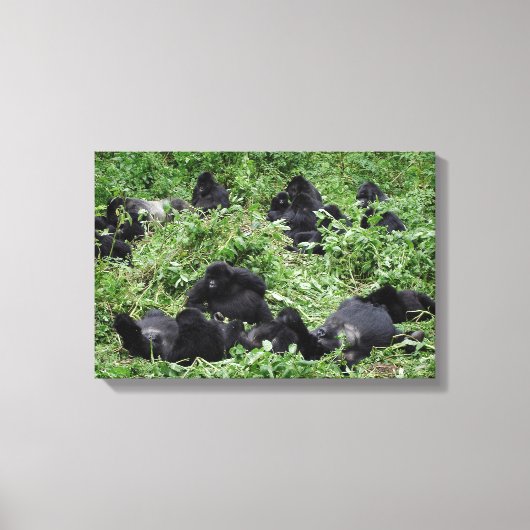 Canvasprint van een groep berggorilla's canvas afdruk (Voorkant)