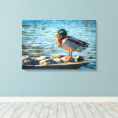 Canvasprint Wilde Eend | Meer Vogel Kunst Canvas Afdruk (Insitu (Houten vloer))