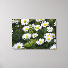 Canvasprint Wilde Madeliefjes Fotografie Canvas Afdruk