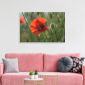 Canvasprint - Wilde Rode Klaproos Canvas Afdruk (Insitu (Woonkamer))