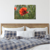 Canvasprint - Wilde Rode Klaproos Canvas Afdruk (Insitu (Slaapkamer))