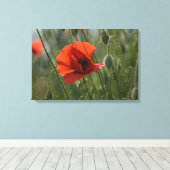 Canvasprint - Wilde Rode Klaproos Canvas Afdruk (Insitu (Houten vloer))