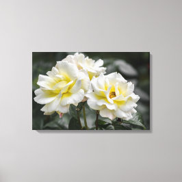 Canvasprint Witte Rozen Fotografie Canvas Afdruk